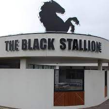 Black Stallion White